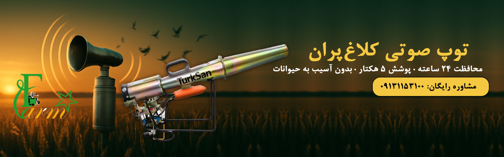 توپ صوتی کلاغ پران